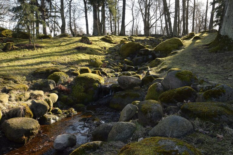 Japanese Garden — Tallinn Travel Guide