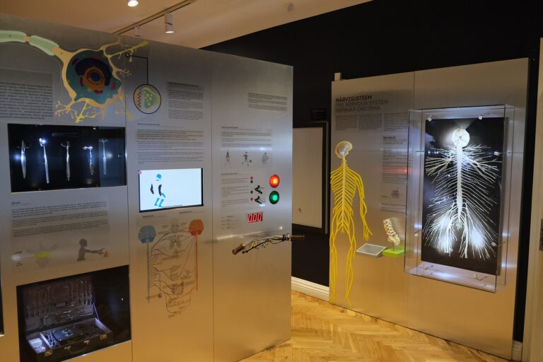 Estonian Health Museum — Tallinn Travel Guide